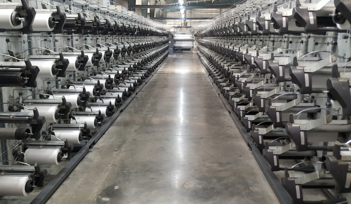  Tape Plant